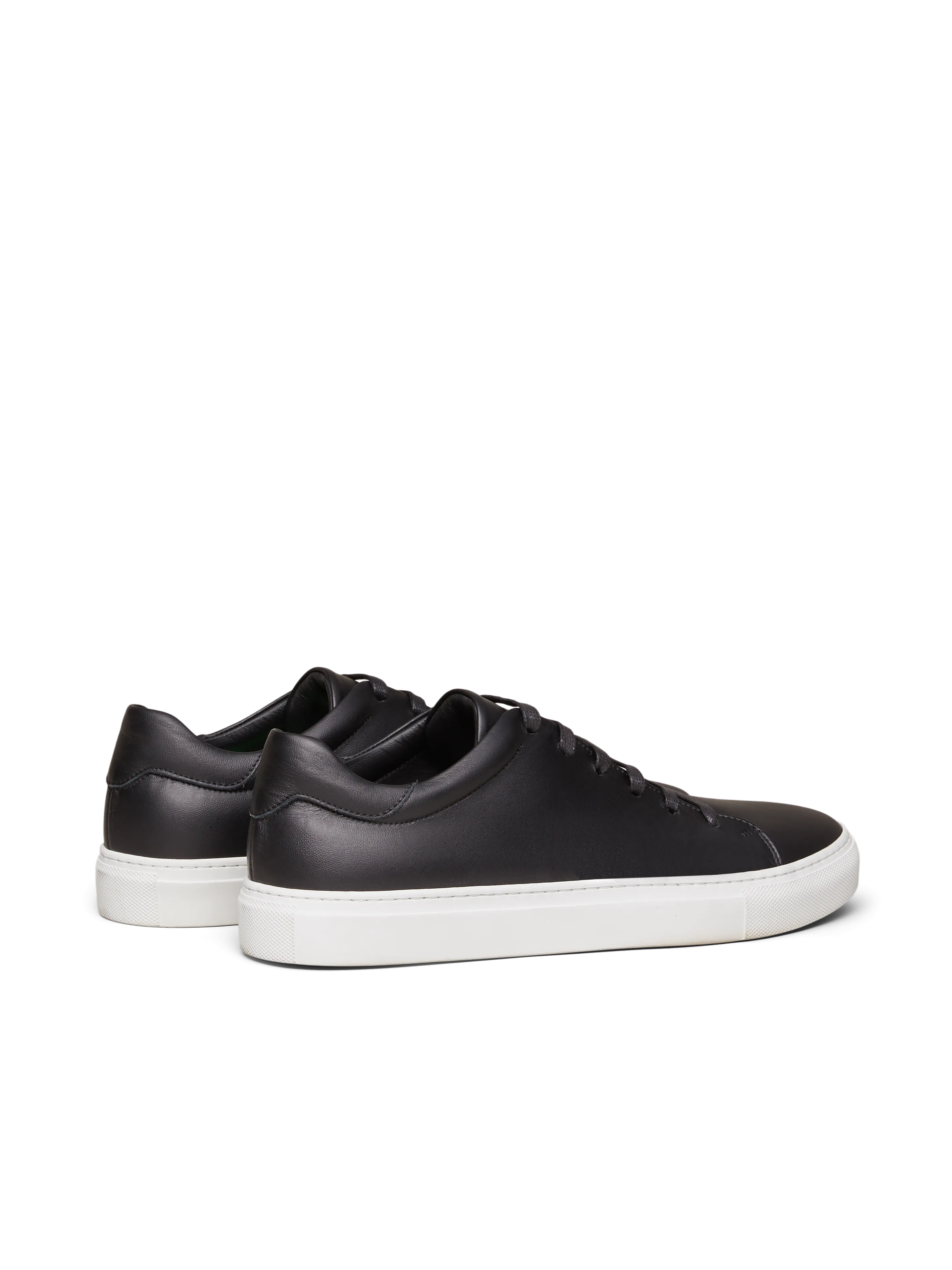 The Lucente (Sample Sale)